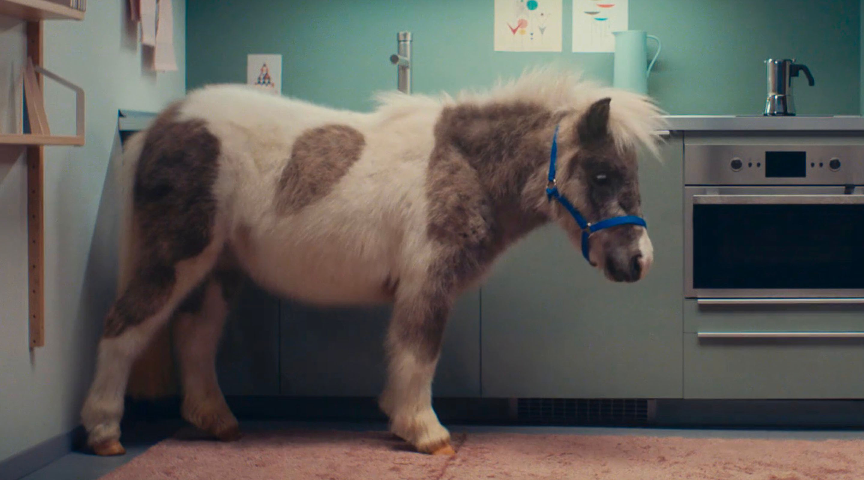 Make room for pony