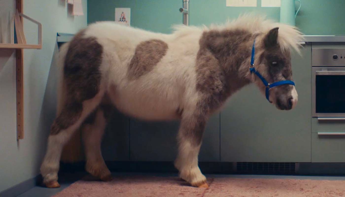 Make room for pony