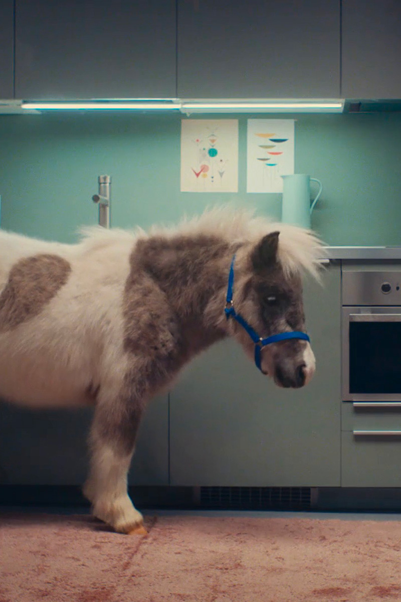 Make room for pony